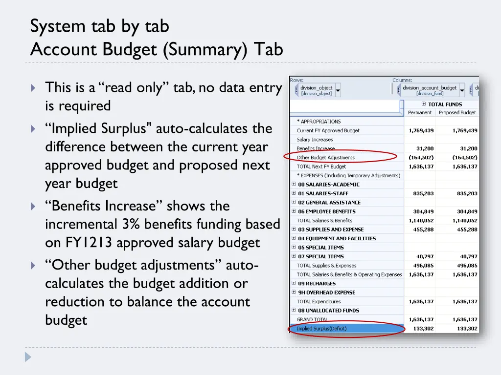 system tab by tab account budget summary tab