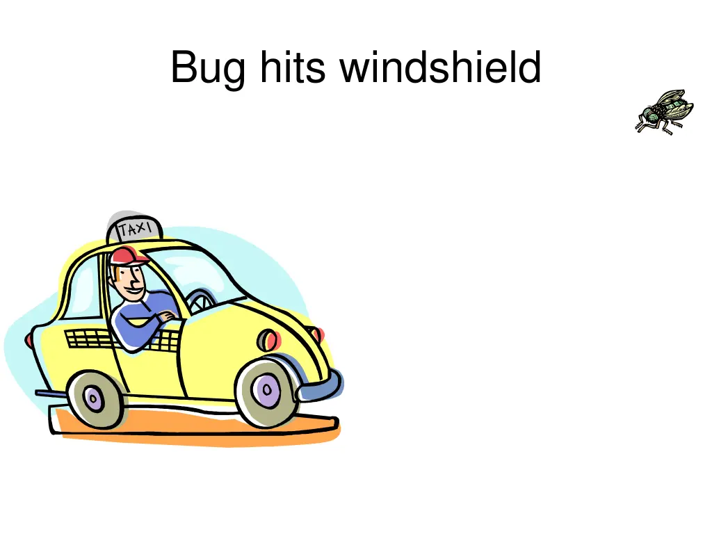 bug hits windshield 1