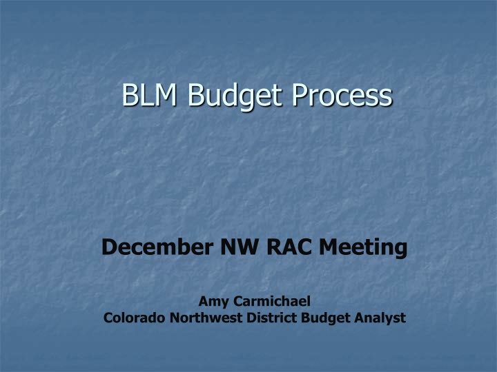 blm budget process