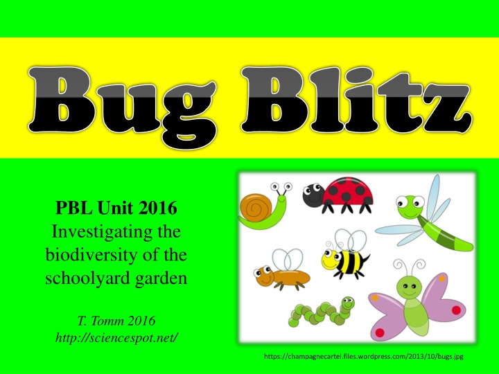 bug blitz bug blitz