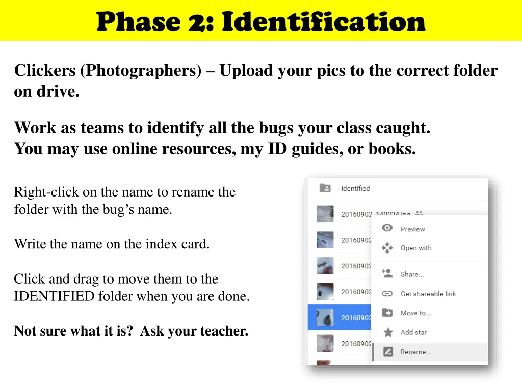 phase 2 identification