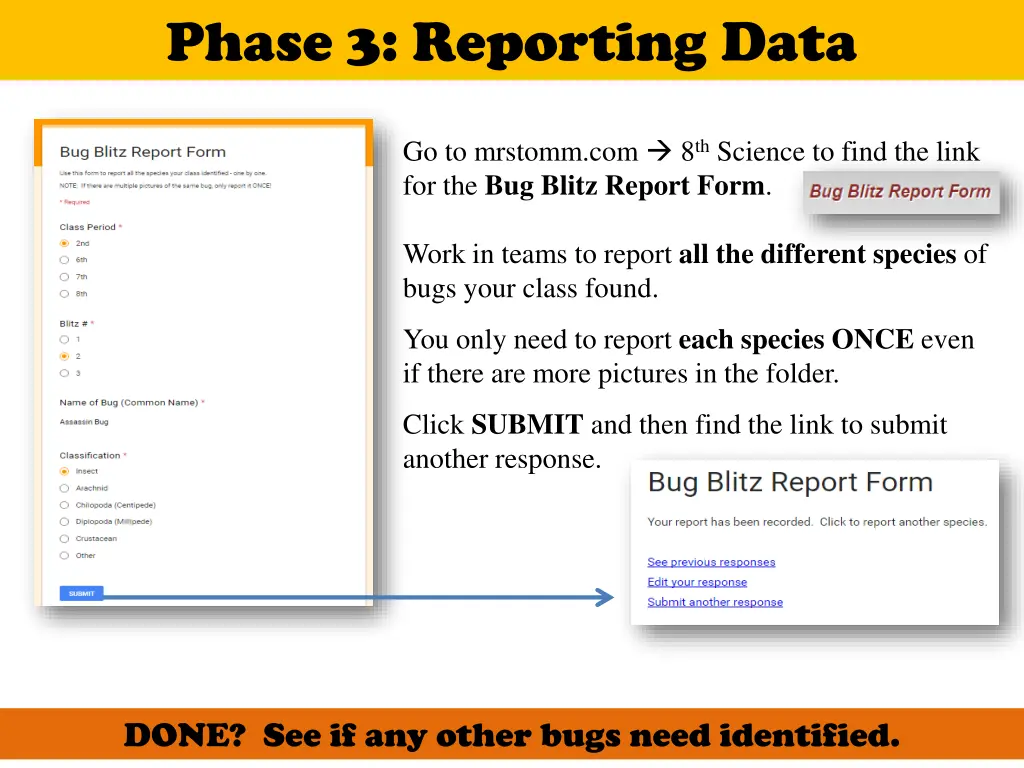 phase 3 reporting data