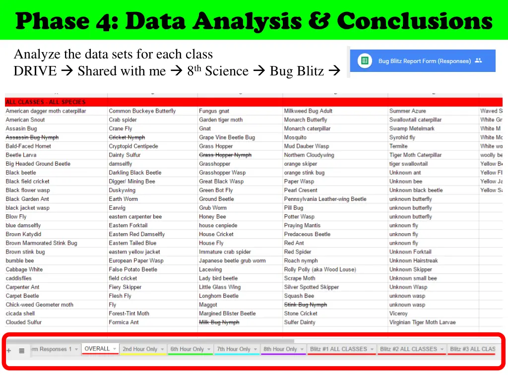 phase 4 data analysis conclusions