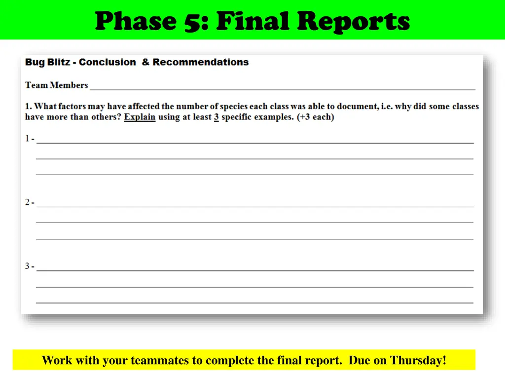 phase 5 final reports