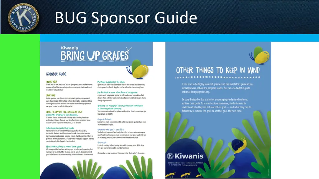 bug sponsor guide