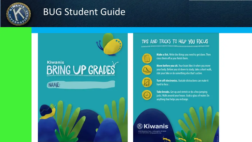 bug student guide