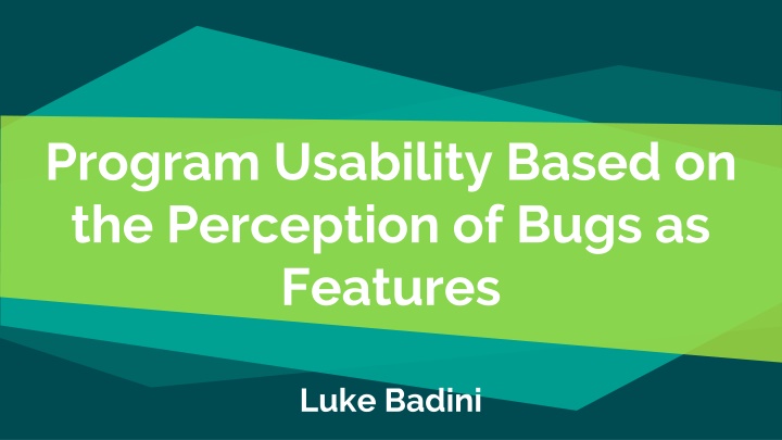 program usability based on the perception of bugs