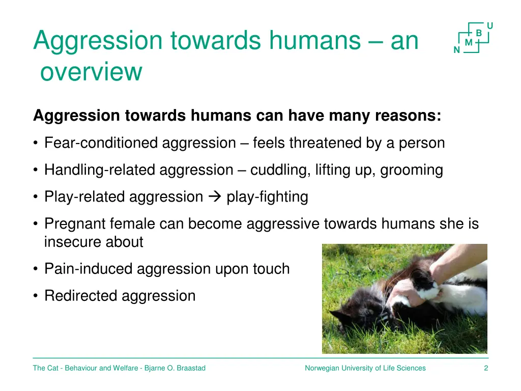 aggression towards humans an overview