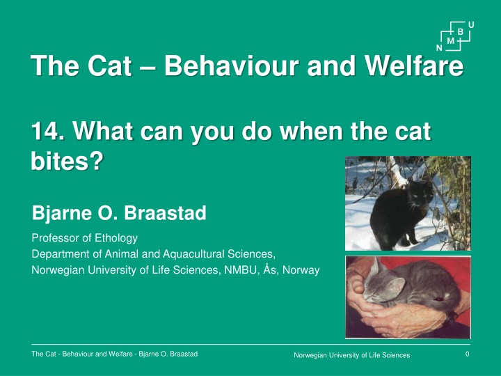 the cat behaviour and welfare