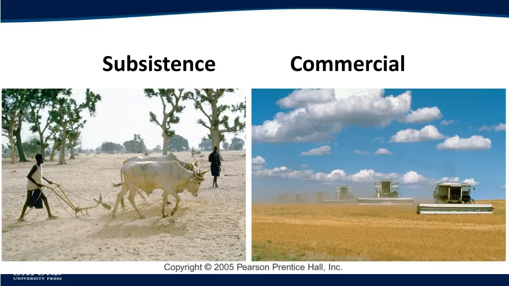 subsistence commercial