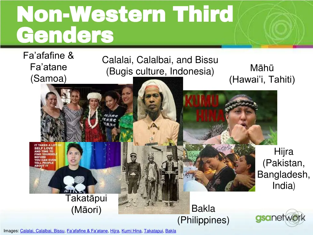 non non western third western third genders