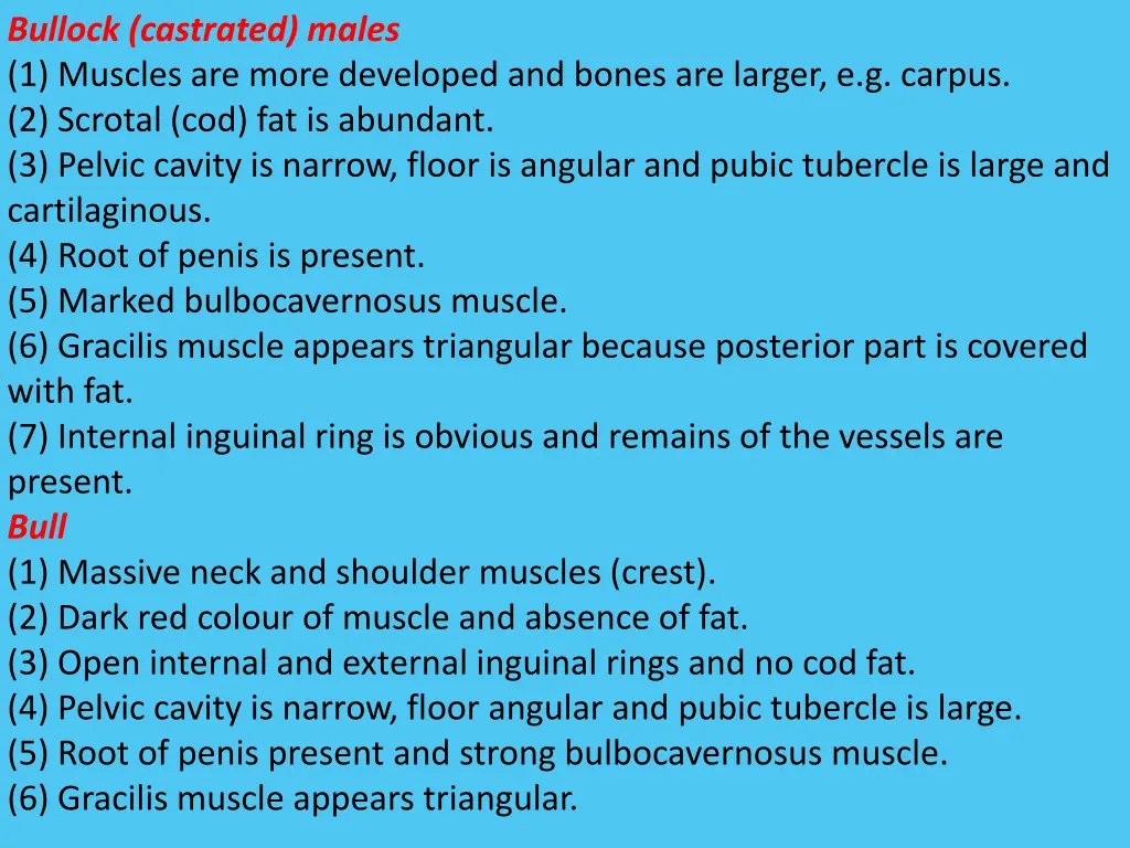 bullock castrated males 1 muscles are more