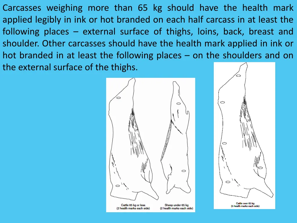 carcasses weighing more than 65 kg should have