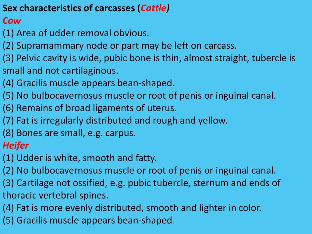 sex characteristics of carcasses cattle