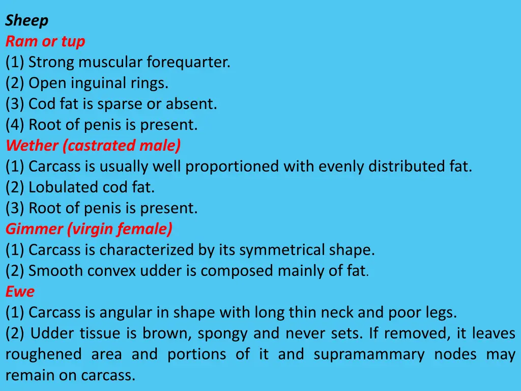 sheep ram or tup 1 strong muscular forequarter