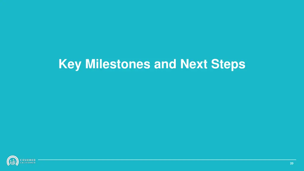 key milestones and next steps