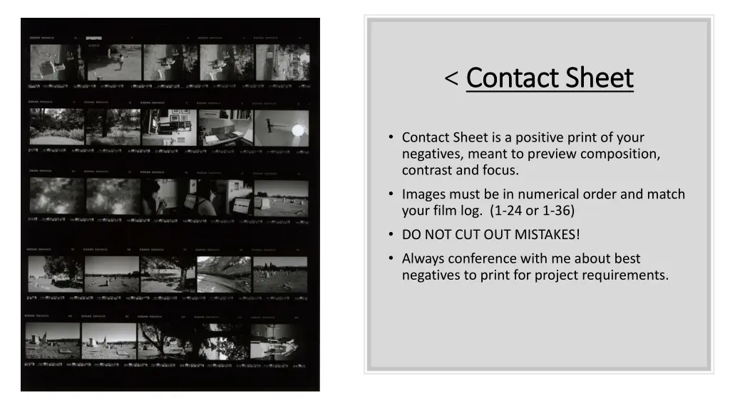 contact sheet contact sheet