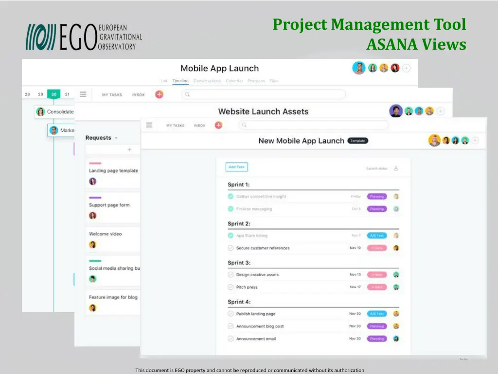 project management tool asana views