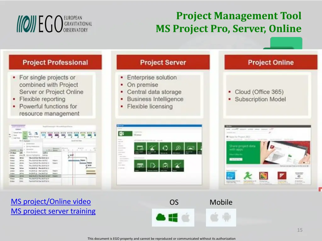 project management tool ms project pro server