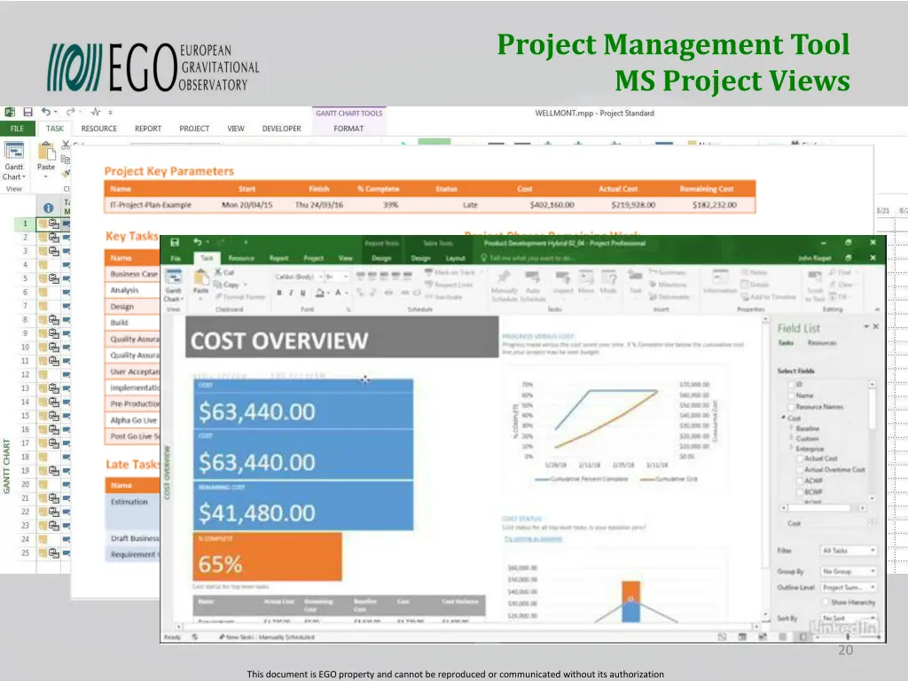 project management tool ms project views