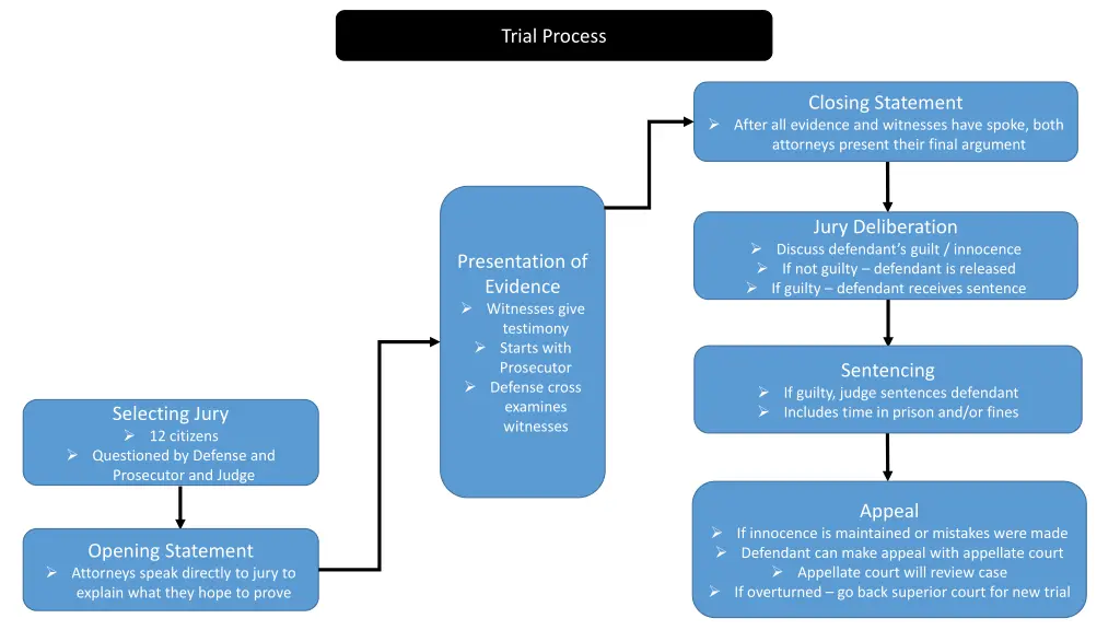 trial process