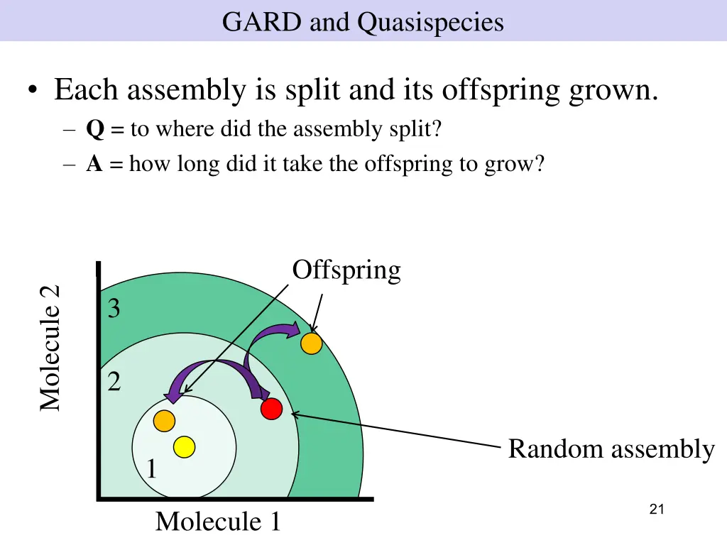 gard and quasispecies 4