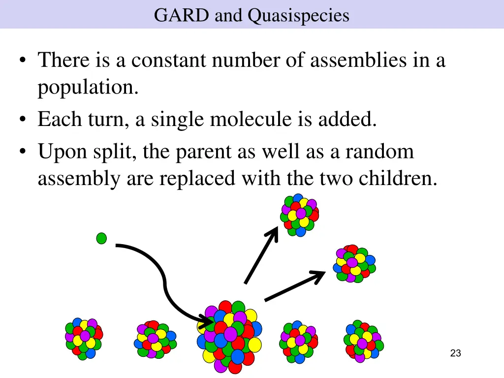 gard and quasispecies 6