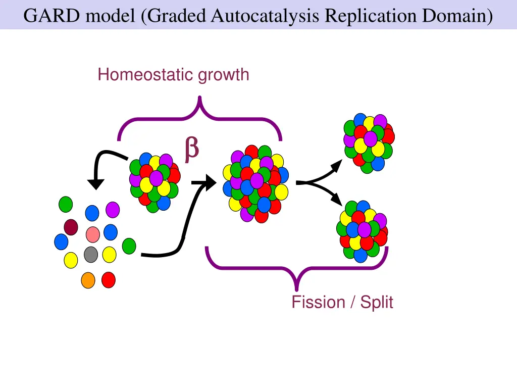 gard model graded autocatalysis replication domain