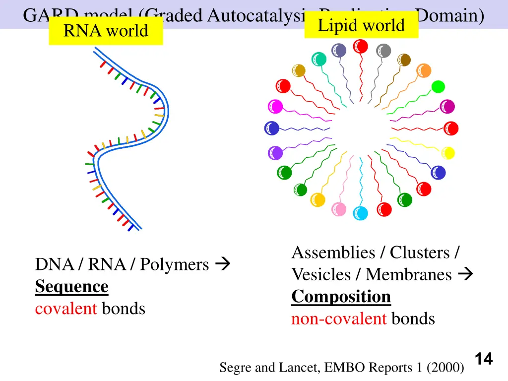 gard model graded autocatalysis replication