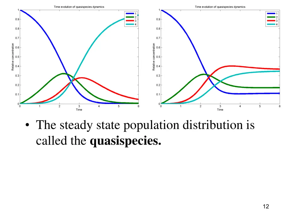 the steady state population distribution