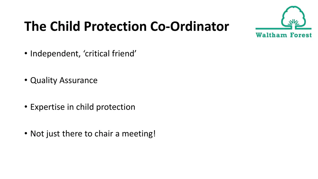 the child protection co ordinator