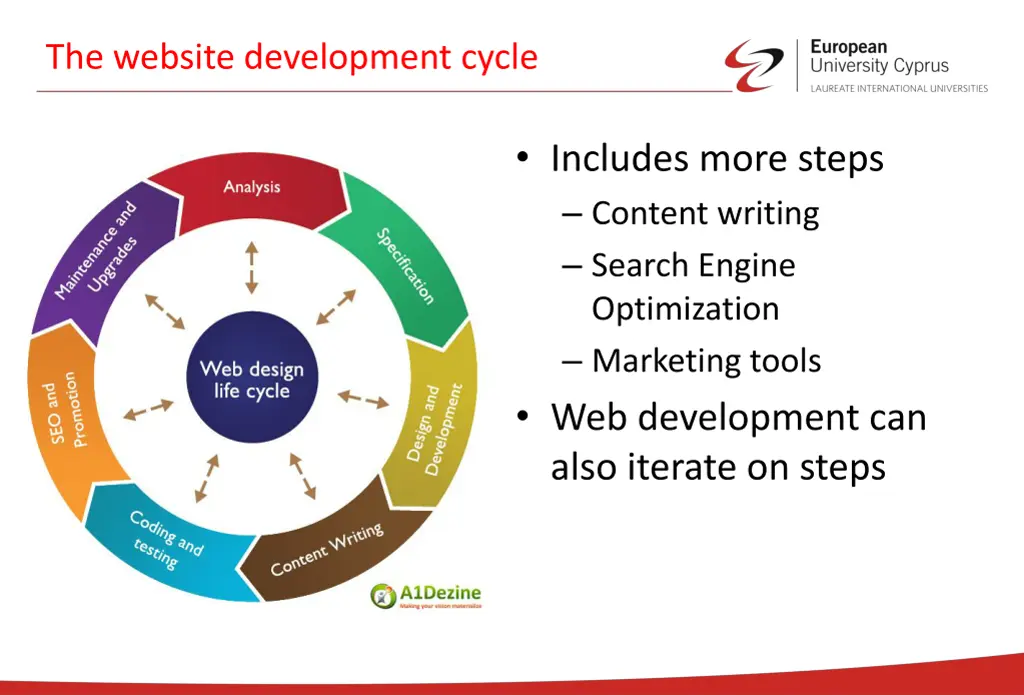 the website development cycle