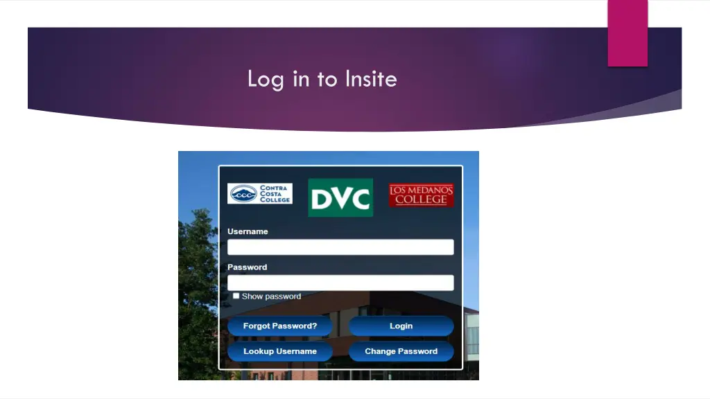 log in to insite