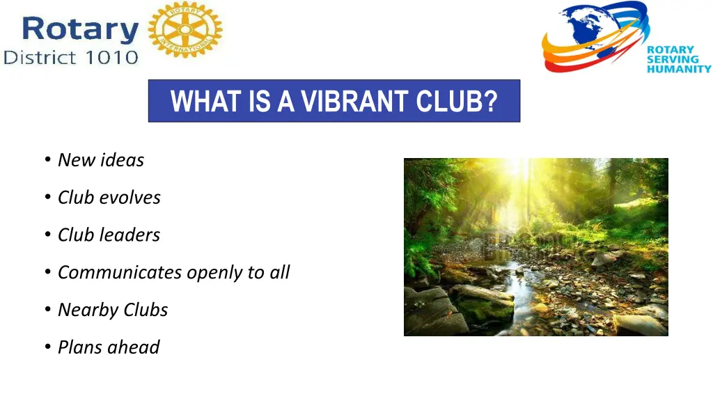 what is a vibrant club 1