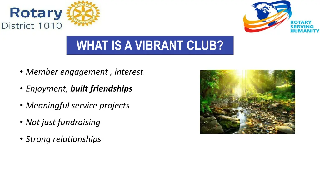 what is a vibrant club