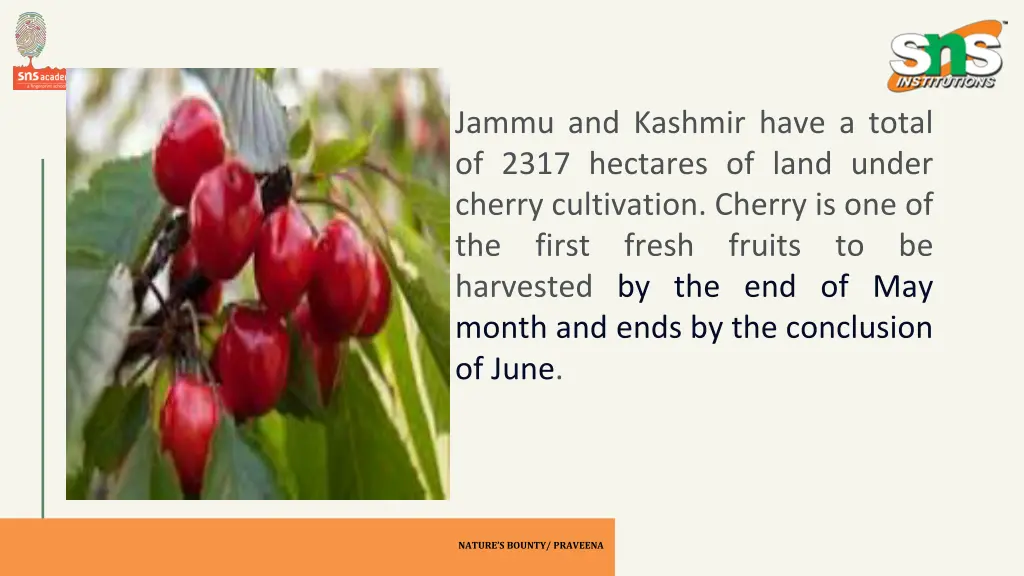 jammu and kashmir have a total of 2317 hectares