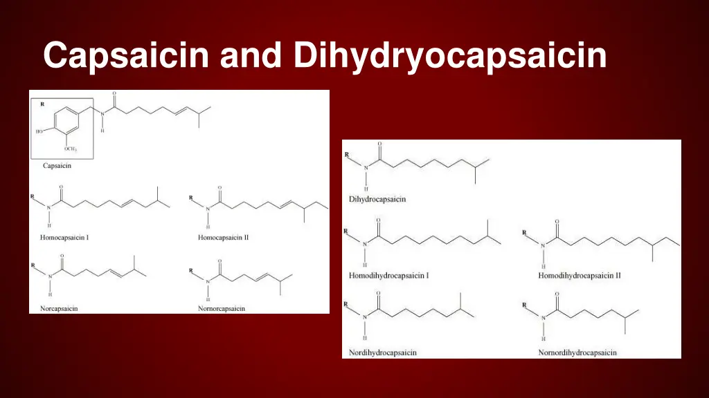 capsaicin and dihydryocapsaicin 1