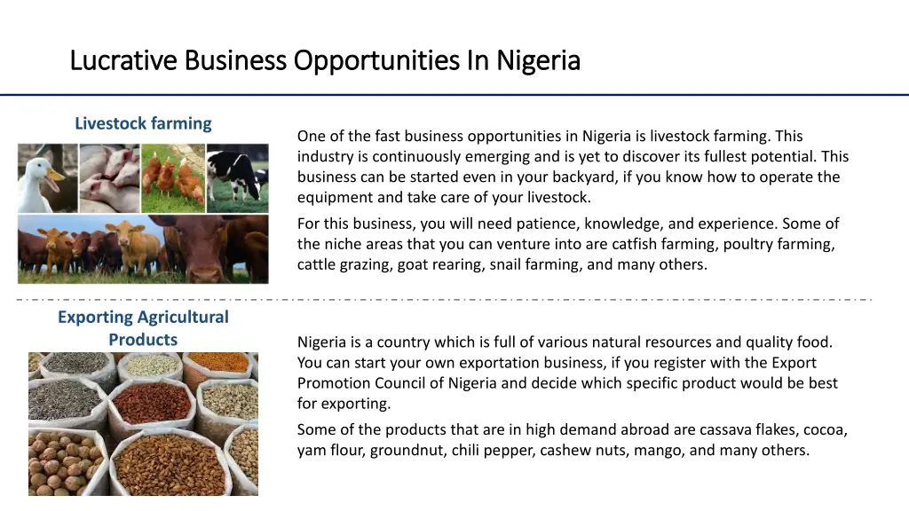 lucrative business opportunities in nigeria