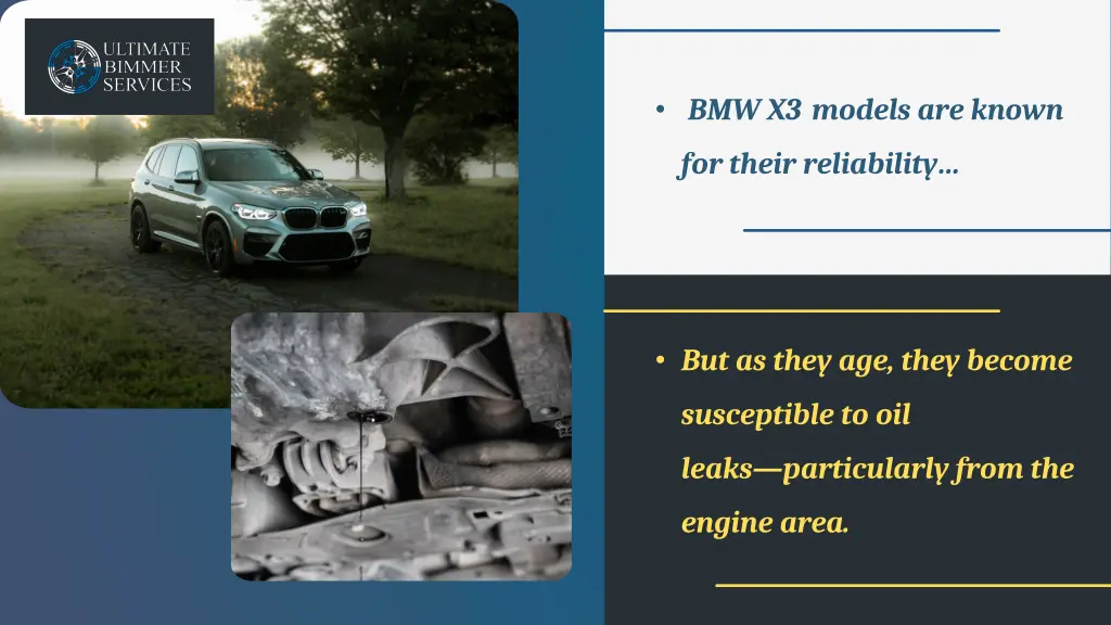 bmw x3 models are known