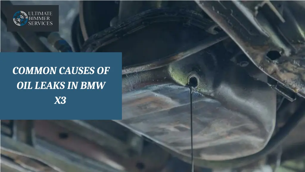 common causes of oil leaks in bmw x3