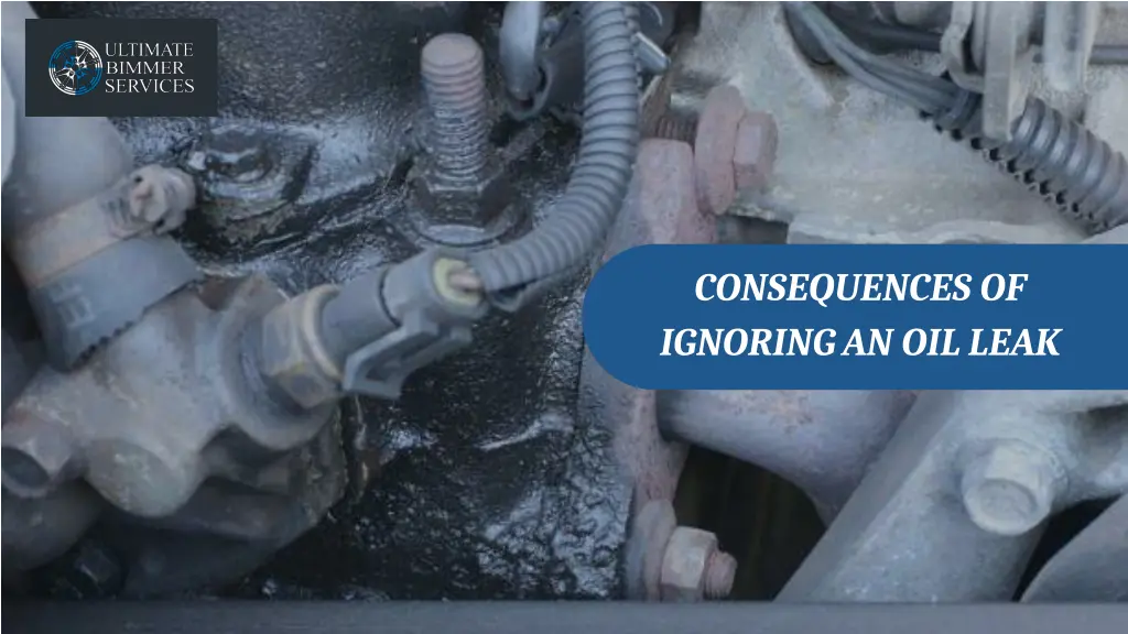 consequences of ignoring an oil leak