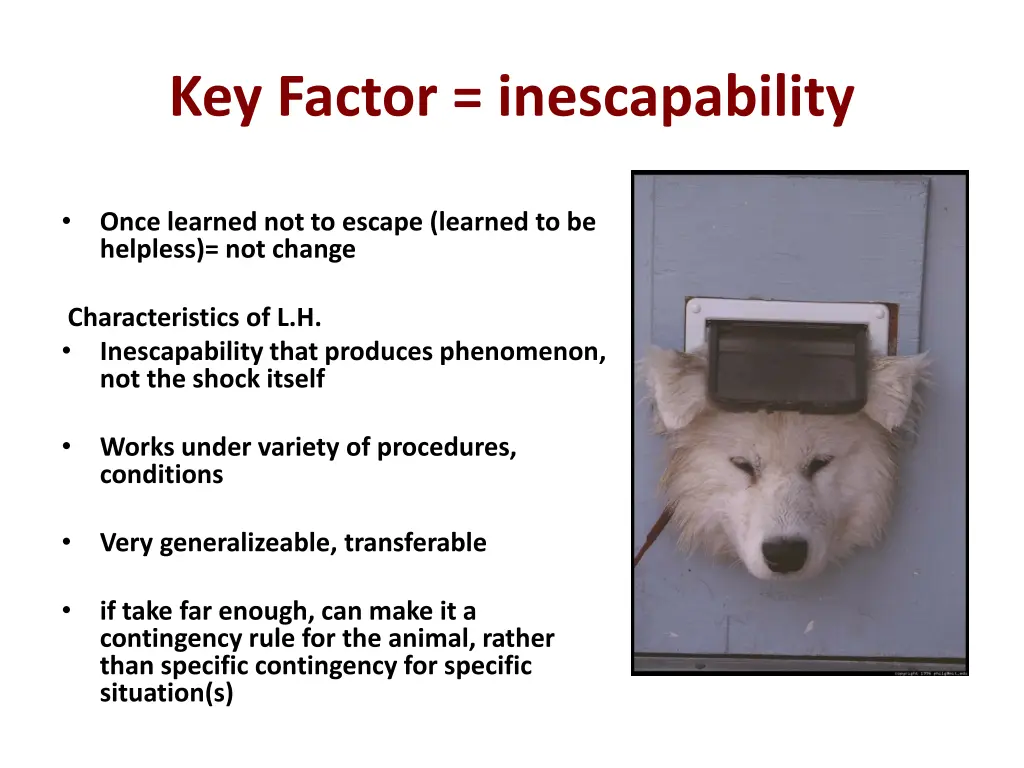 key factor inescapability