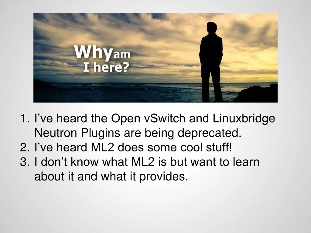 1 i ve heard the open vswitch and linuxbridge