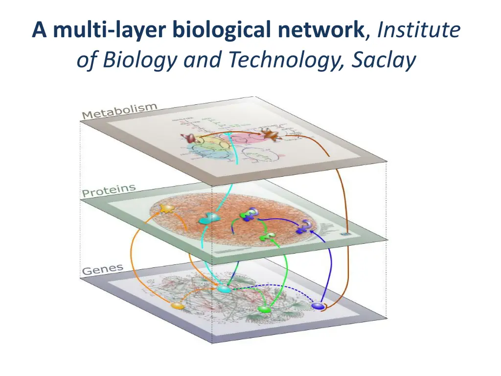 a multi layer biological network institute