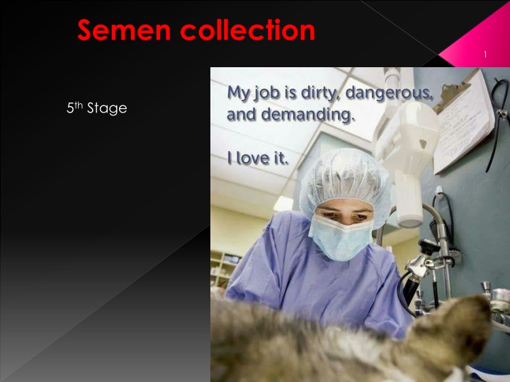 semen collection