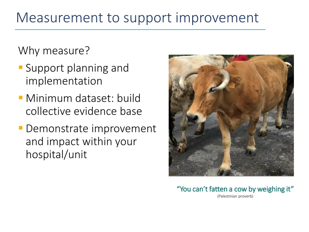 measurement to support improvement