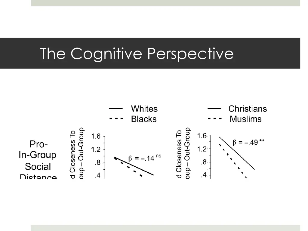 the cognitive perspective 28