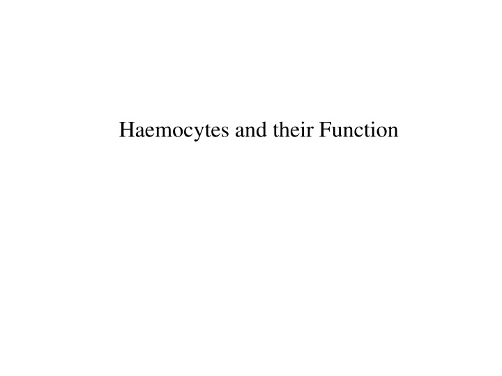 haemocytes and their function