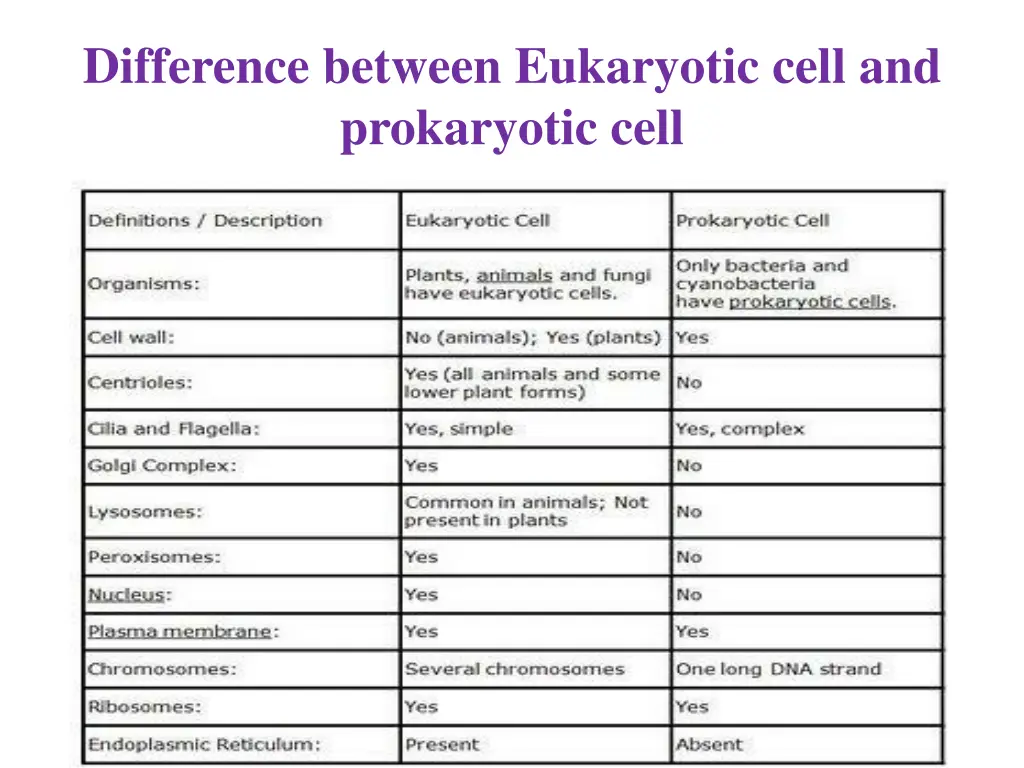 difference between eukaryotic cell