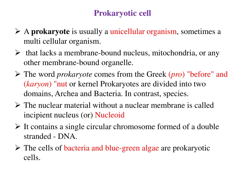 prokaryotic cell